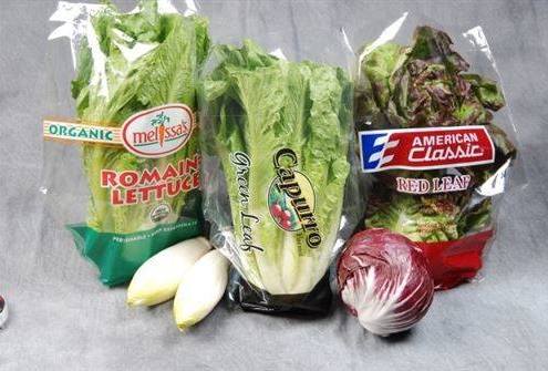 vpac_pd_vegetable_3